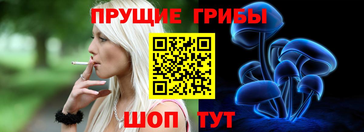 Псилоцибиновые грибы ЛСД Славянск-на-Кубани